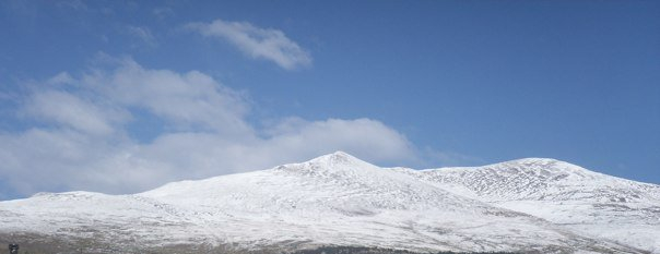 1913616_504269550960_3587772_n