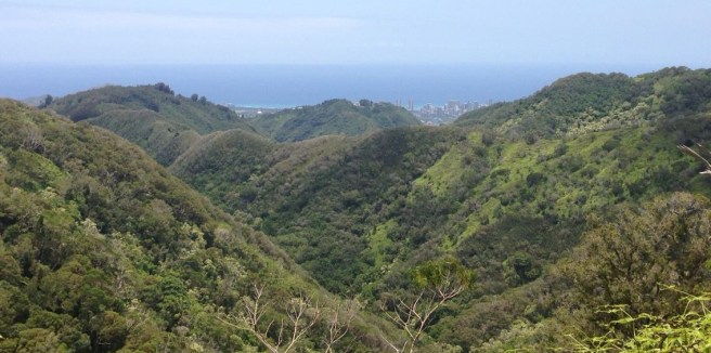 920170_520917962410_1117706801_o